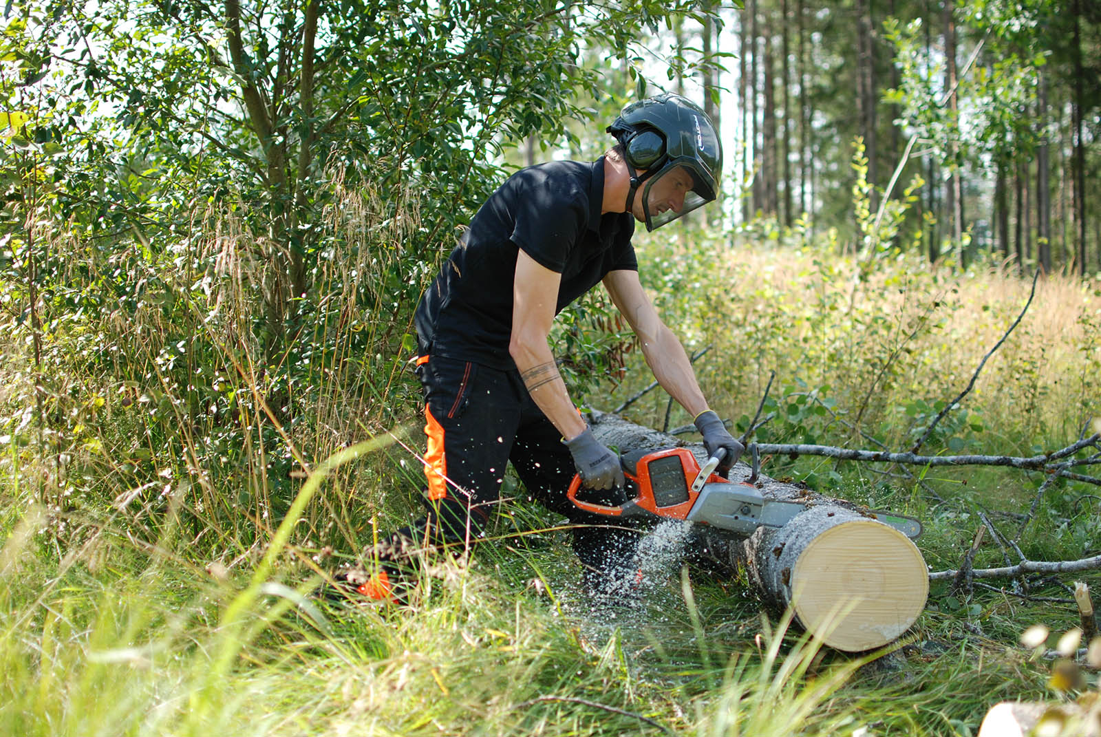 stormschade-Glava-Zweden