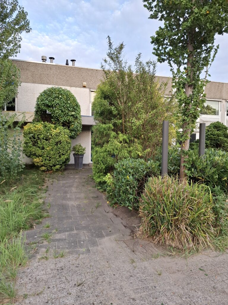 snoeiwerkzaamheden-struiken-Weesp