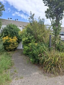snoeiwerkzaamheden-struiken-Weesp